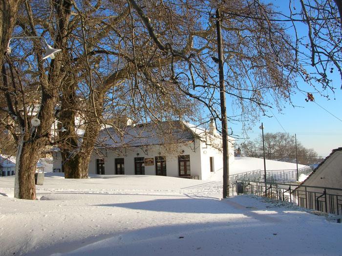Village House Agios Lavrentios Екстериор снимка
