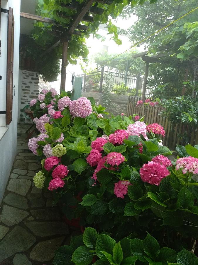 Village House Agios Lavrentios Екстериор снимка